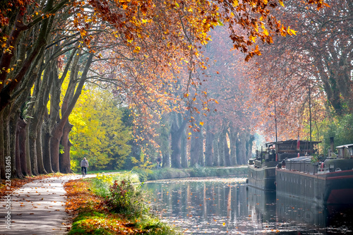 Wallpaper Mural The Canal du Midi near Toulouse in autumn