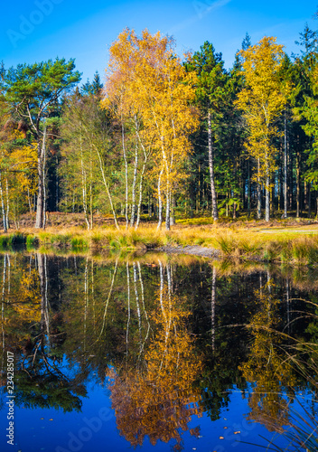 Autumn in Holland