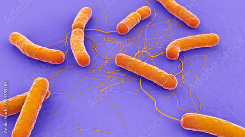 Bacillus cereus 3d illustration