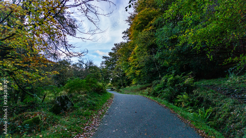 Naklejka premium The Old Road, Glendalough County, Ireland