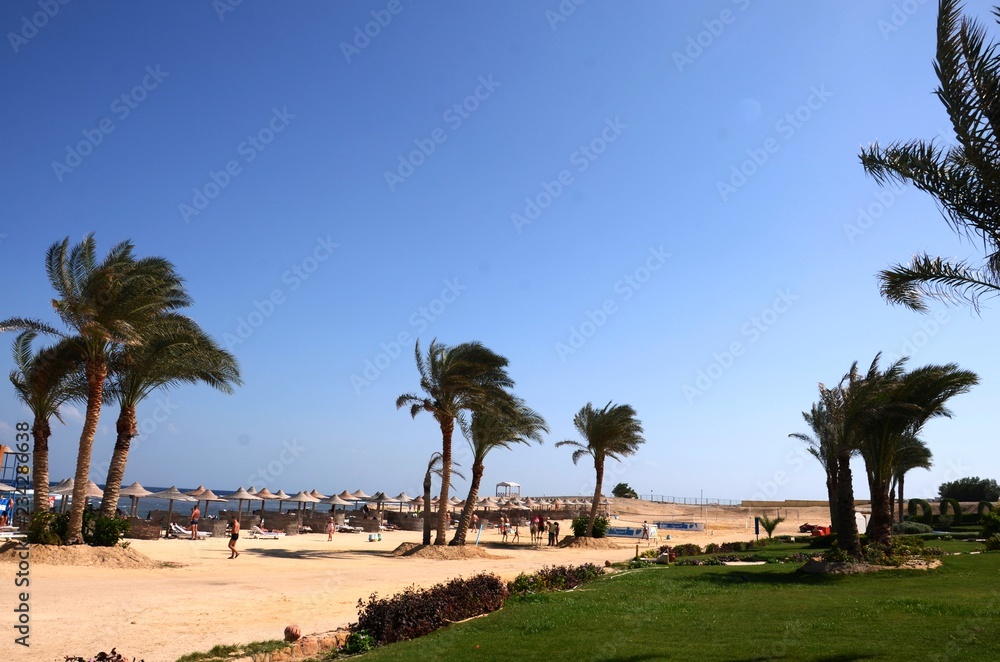 Plage de Marsa Alam (Sud de l'Egypte)
Plage de Marsa Alam (Sud de l'Egypte)