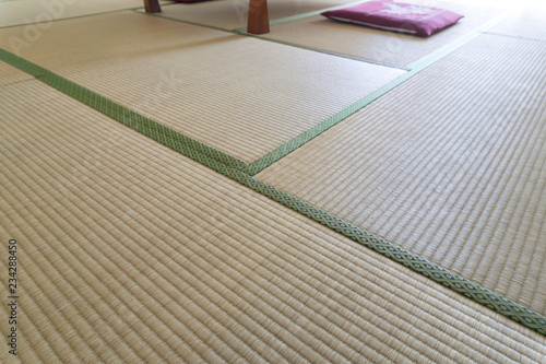 Canvas Print 畳
