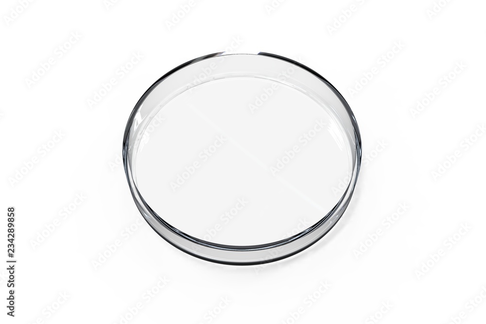 Transparent glass Petri dishes on white background. Top view. 3D rendering Transparent glass Petri dishes on white background. Top view. 3D rendering