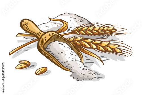 colorfull wooden scoop of fresh ears of wheat flour on white background vector illustration