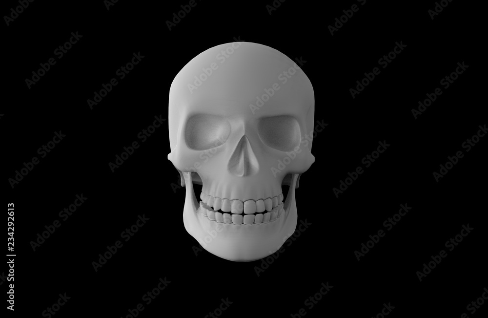 Gray matte human skull on black background. 3D rendering