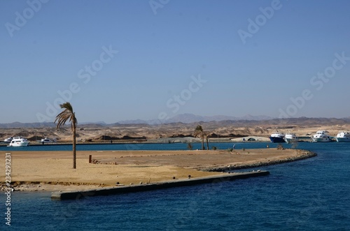 Port Ghalib  Mer Rouge- Sud de l   Egypte    