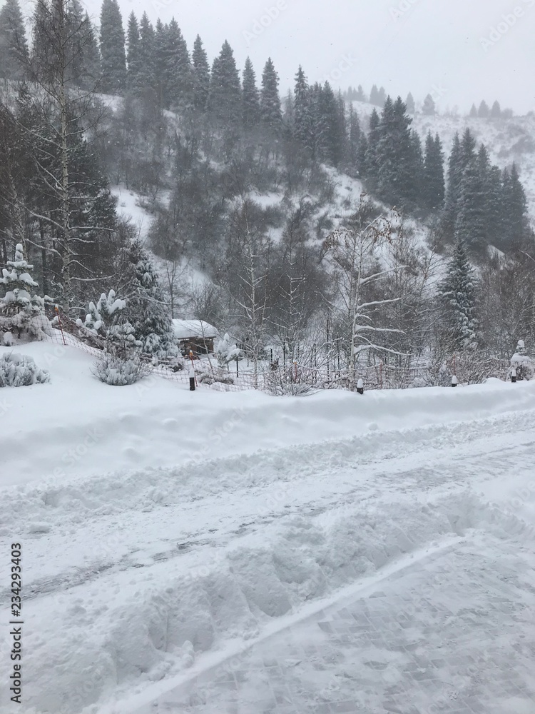 Winter Winter