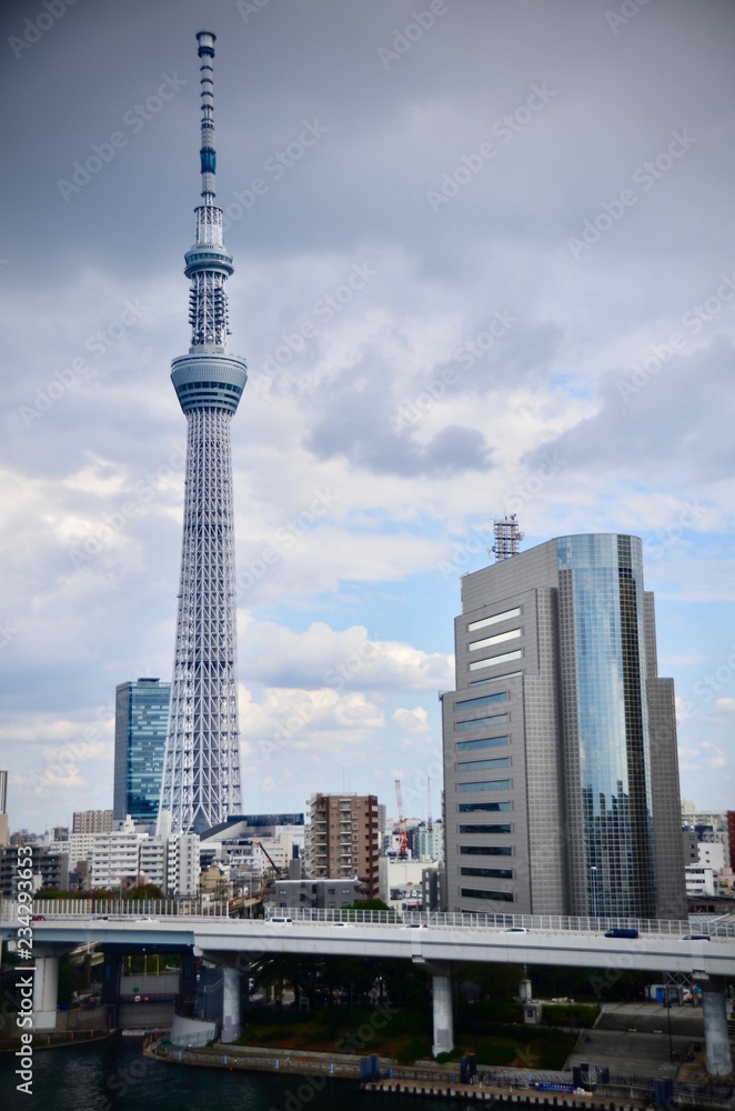 Landscape view of Tokyo city skyline with Tokyo sky tree, the tallest tower in Tokyo, Japan in clear winter sky day