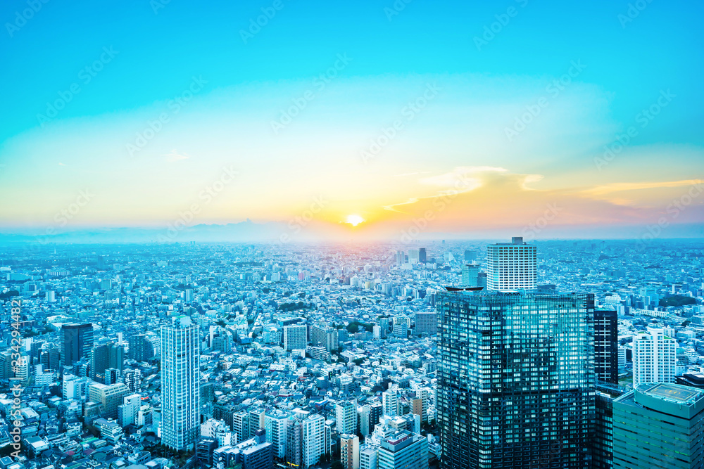 custom made wallpaper toronto digitalskyline night view of shinjuku in Tokyo, Japan