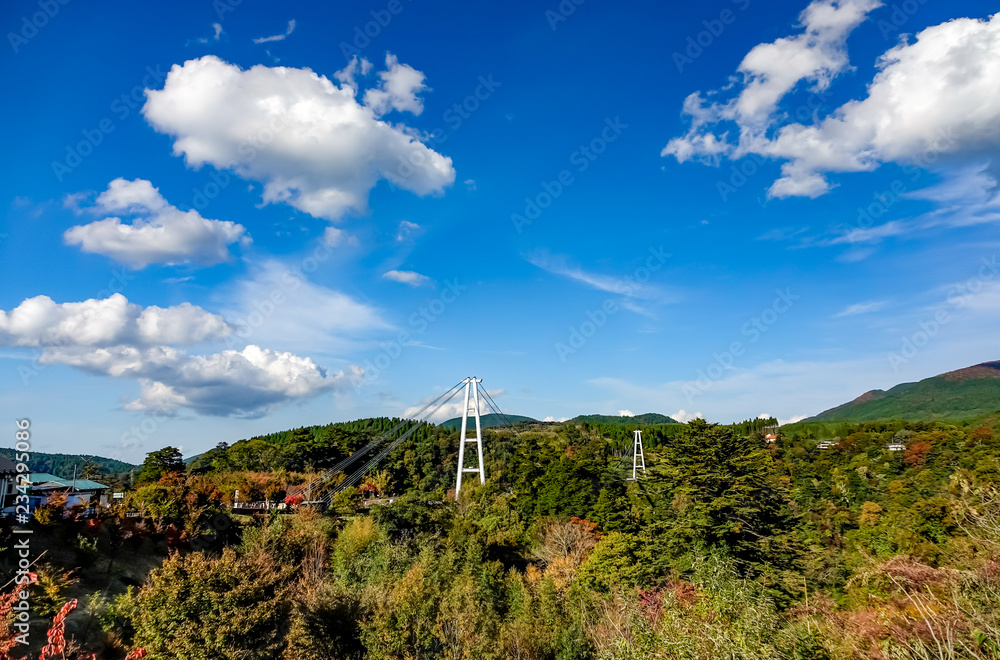 九重夢大吊橋 紅葉 九重夢大吊橋 紅葉