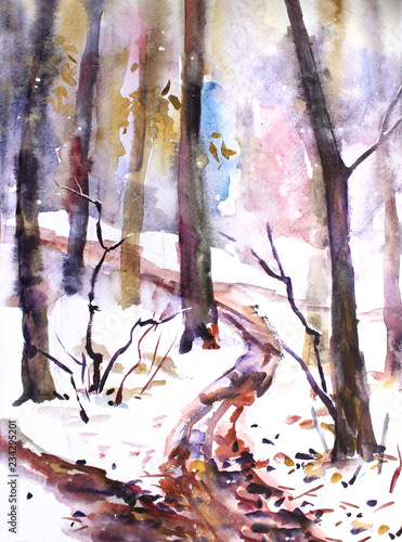 Watercolor landscape. In the forest  the first snow fell