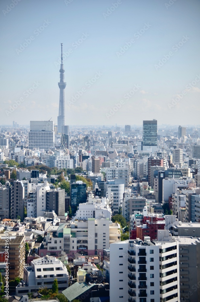 Landscape view of Tokyo city skyline with Tokyo sky tree, the tallest tower in Tokyo, Japan in clear winter sky day