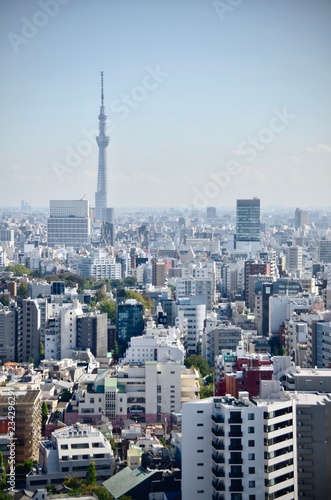 Landscape view of Tokyo city skyline with Tokyo sky tree, the tallest tower in Tokyo, Japan in clear winter sky day