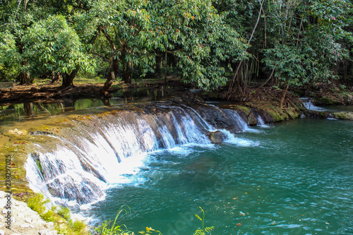 The water in the stream is green and bright green tree at Kapo Waterfall Fores Park   Chumphon in Thailand.