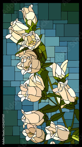 Vector stained glass window with blooming white campanula with buds.