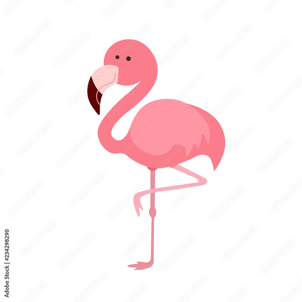 pink flamingo illustration pink flamingo illustration