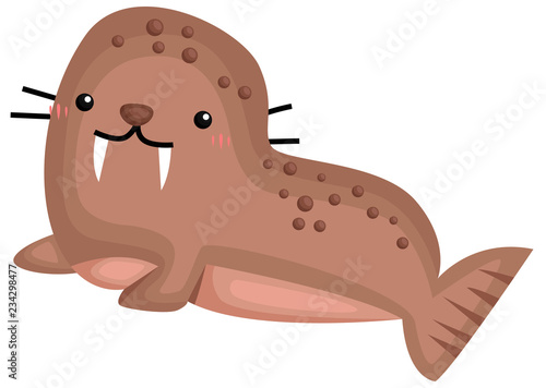 a vector of a cute and adorable walrus