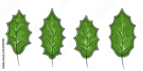 Christmas holly berry leaves isolated. Vector illustration. Traditional Christmas decoration in flat design.