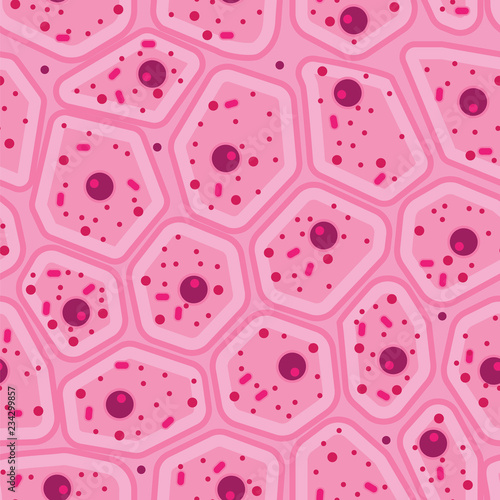 pink human skin cell vector seamless pattern