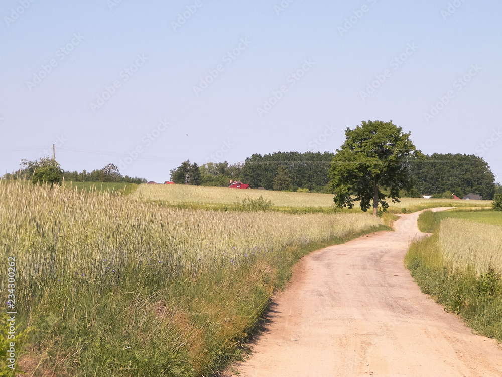 Fototapeta premium Country road in Kashubian village.