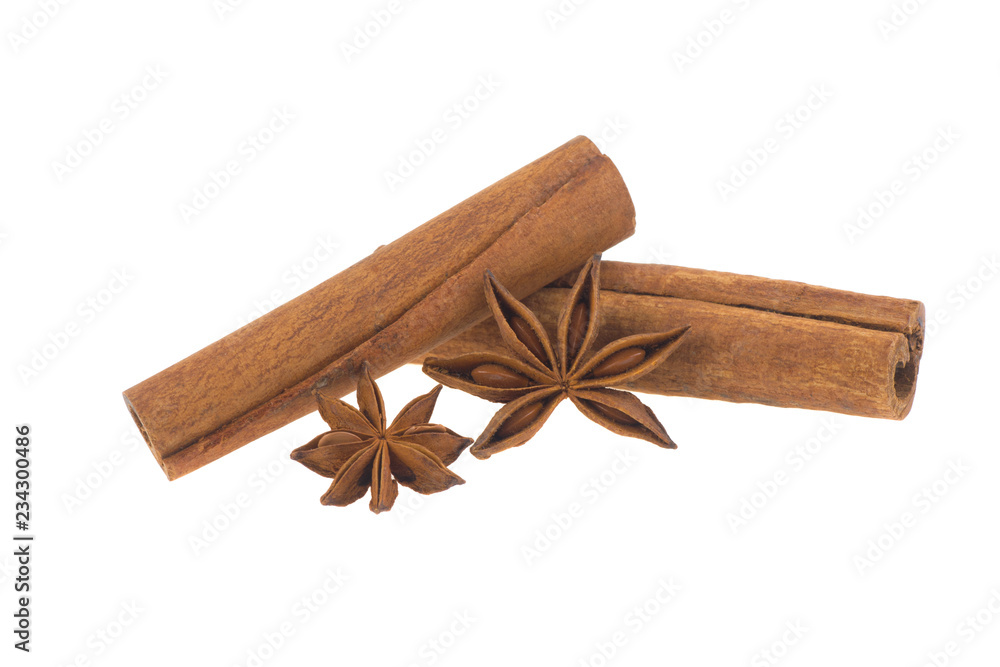 two sticks of cinnamon and badian isolated on white background