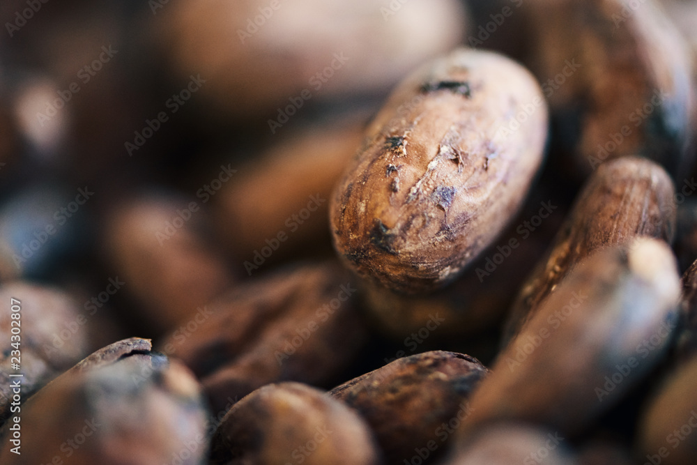 Closeup of dried cocoa beans for artisanal chocolate making Closeup of dried cocoa beans for artisanal chocolate making