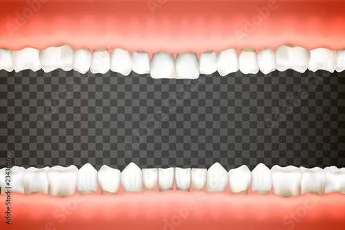 Open human mouth with jaws full of realistic teeth in pink gums on transparent background