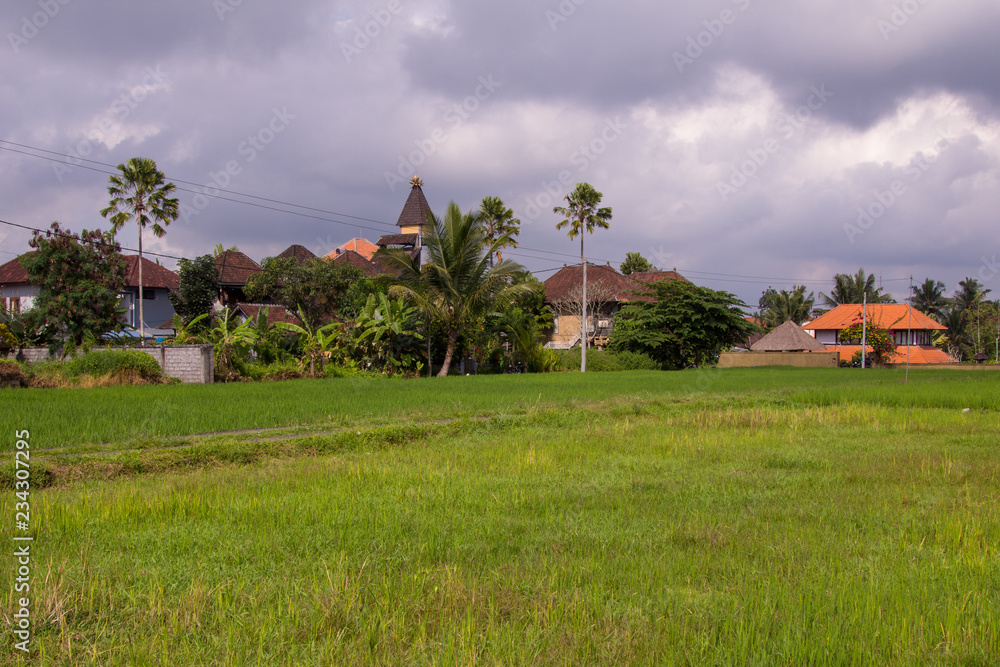Houses and fields in Balinese village