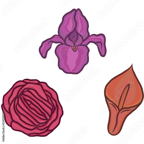Vagina Flowers Isolated set