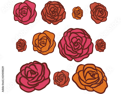Roses flower set