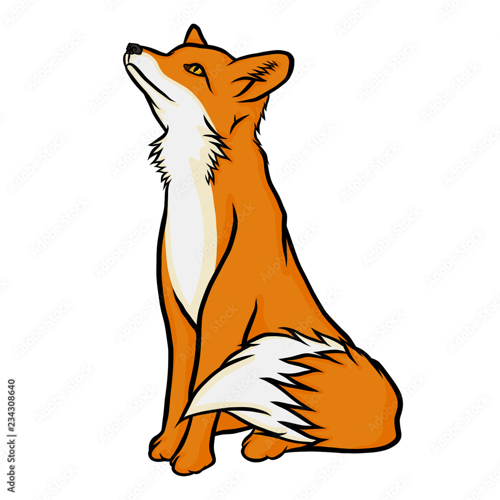 Obraz premium Isolated cute fox illustration