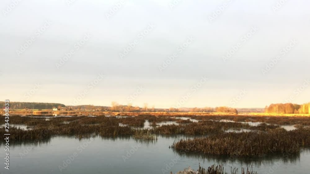 landscape is marshy, the river is overgrown with grass. landscape is marshy, the river is overgrown with grass.