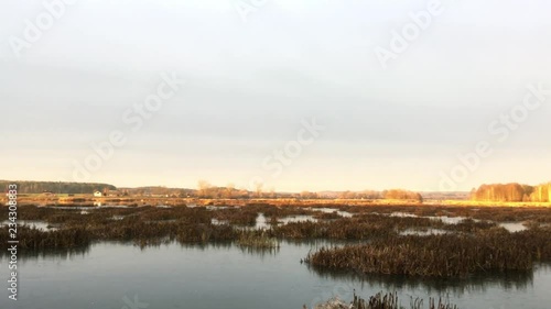 Wallpaper Mural landscape is marshy, the river is overgrown with grass. Torontodigital.ca