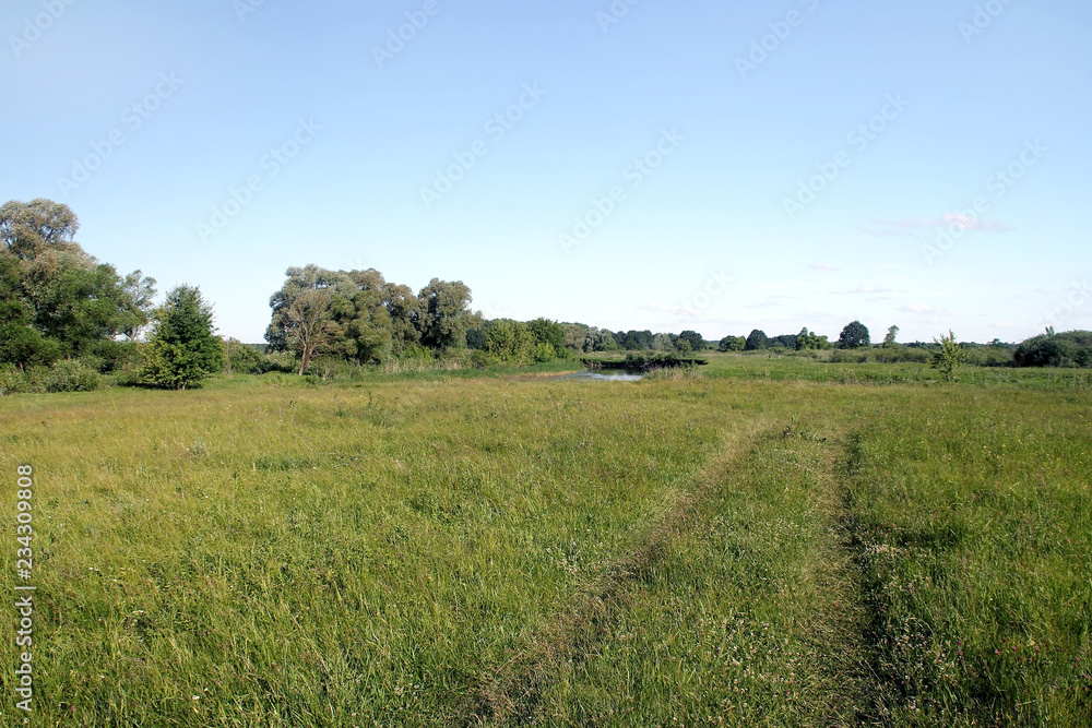 View of the meadow, field road, river, trees and sky View of the meadow, field road, river, trees and sky
