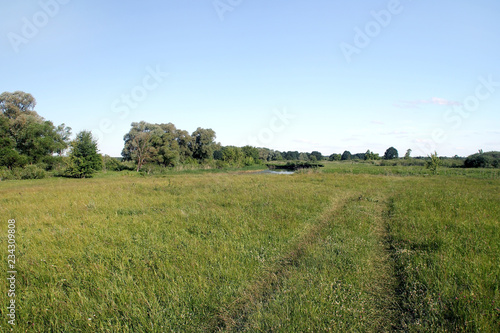 View of the meadow, field road, river, trees and sky