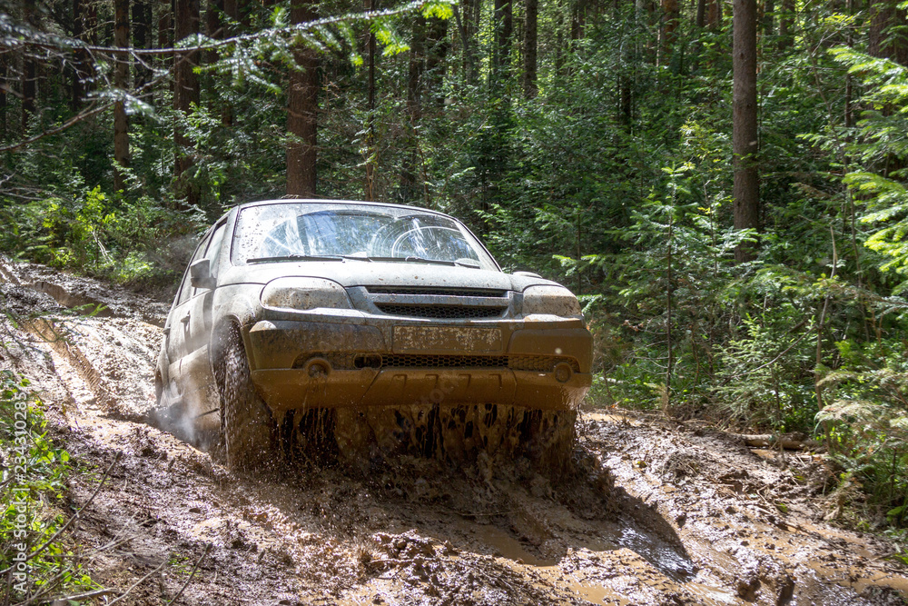 Сar stuck on a muddy forest track Сar stuck on a muddy forest track