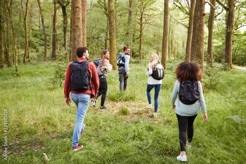 Fototapeta Naklejka Na Ścianę i Meble -  A group of five young adult friends talk while walking in a forest during a hike, back view