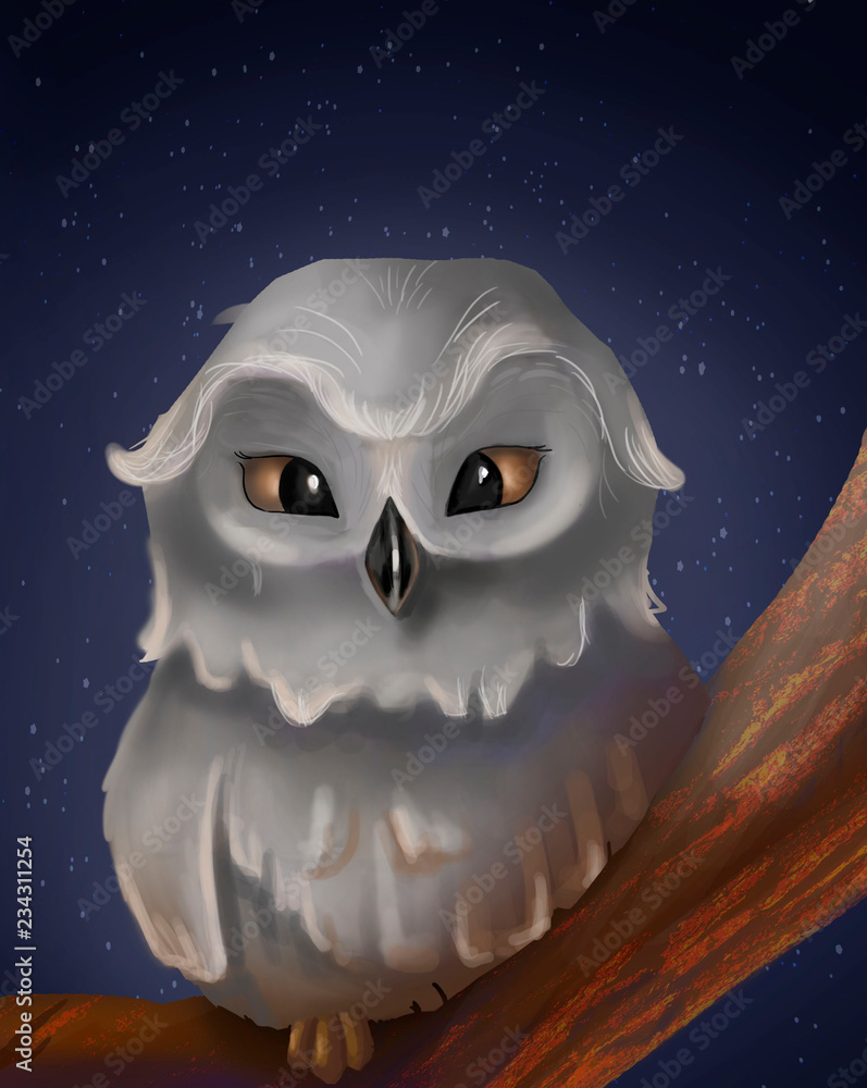  night owl