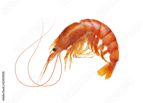  fresh boiled tiger shrimp isolated on white