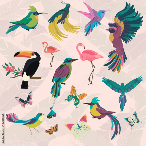 Tropical set with tropical birds and butterfly for wallpapers, web page backgrounds, surface textures, textile, wedding invitation, business products