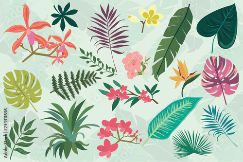 Tropical set with tropical palm leaves, flowers for wallpapers, web page backgrounds, surface textures, textile, wedding invitation and others