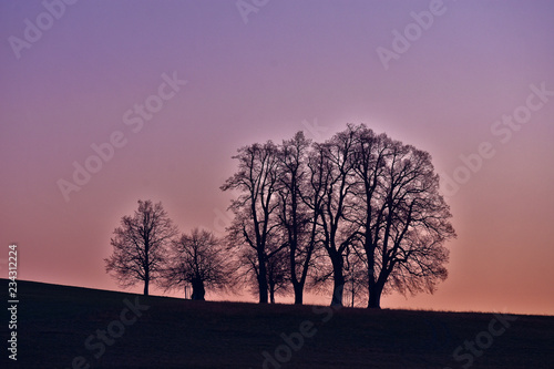 Baumgruppe bei Sonnenaufgang auf der Schwäbischen Alb © JRG