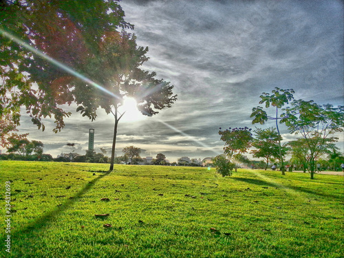 Green field on the park