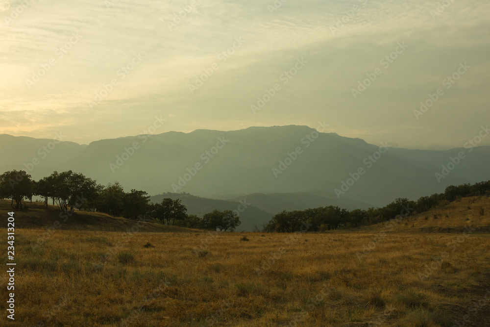 Beautiful landscape of foggy mountains with field and trees, cloudy but warm sky