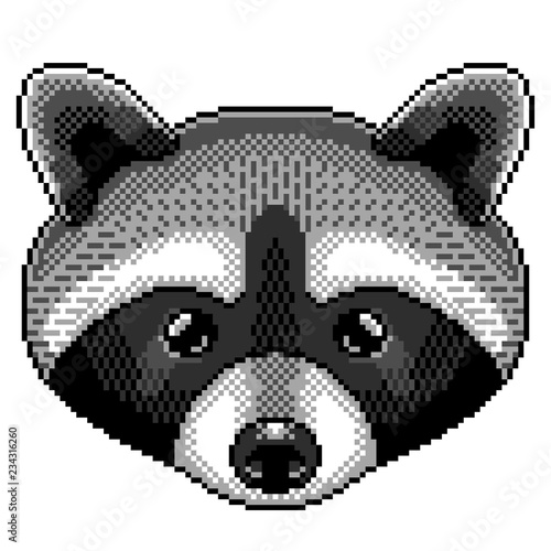 Pixel raccoon portrait detailed illustration isolated vector