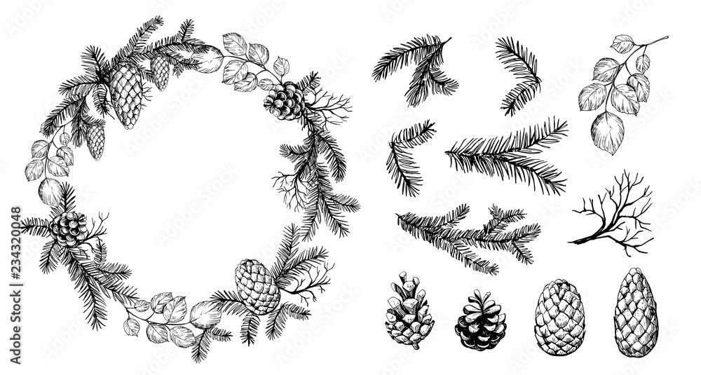 Naklejka premium Pine wreath with cone and fir brunches. Vector illustration.