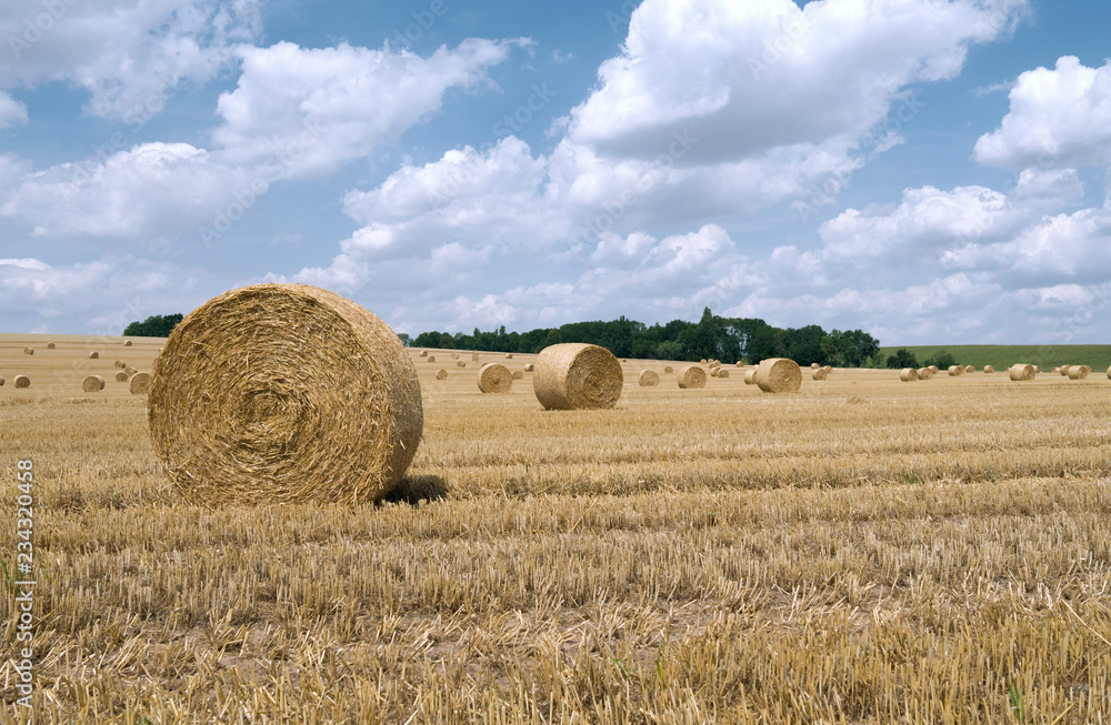 Nobitz / Germany: Round bales on a harvested wheat field near Selleris in Eastern Thuringia in July