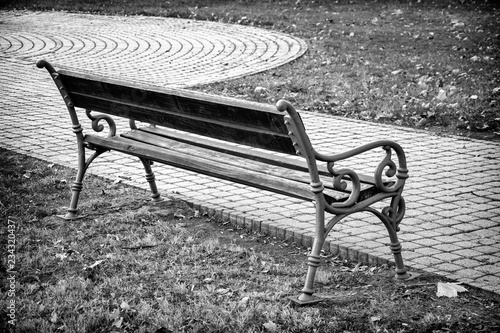 Bench in the park in black and white with autumn leaves.