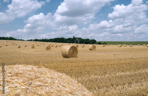 Nobitz / Germany: Round bales on a harvested wheat field near Selleris in Eastern Thuringia in July