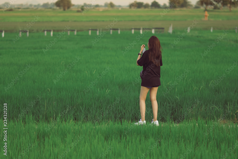 Back view of young woman take a photo by smartphone in the rice